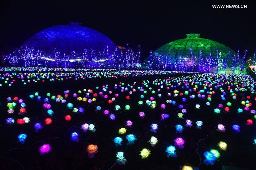 15590336_1849409181941762_9172142325325334536_n