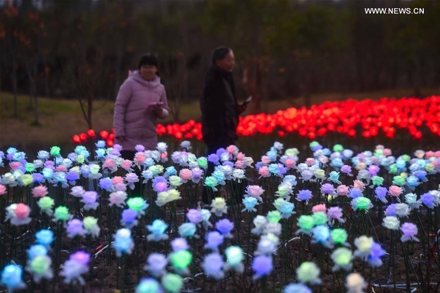 15621594_1849409301941750_5896518104400006363_n