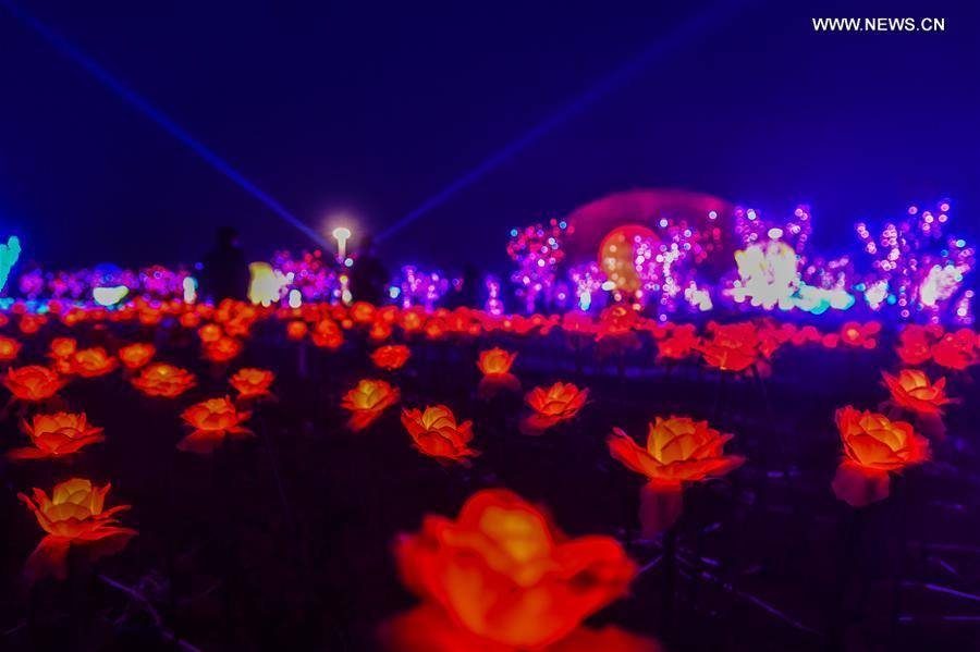 15665966_1849409351941745_6991025495619343921_n