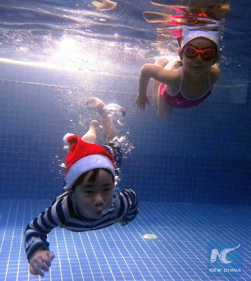 15726432_1848973608651986_1862549488925914404_n