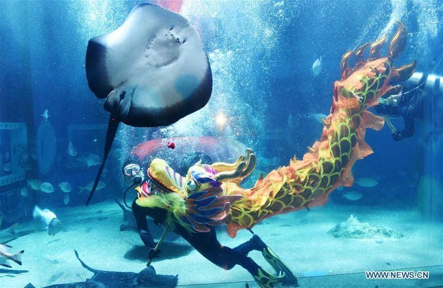 ราวกับมีชีวิต! มังกรใต้น้ำแห่งฮาร์บิน