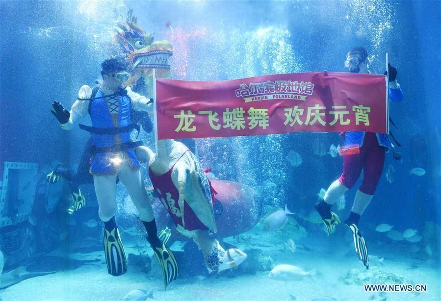 ราวกับมีชีวิต! มังกรใต้น้ำแห่งฮาร์บิน