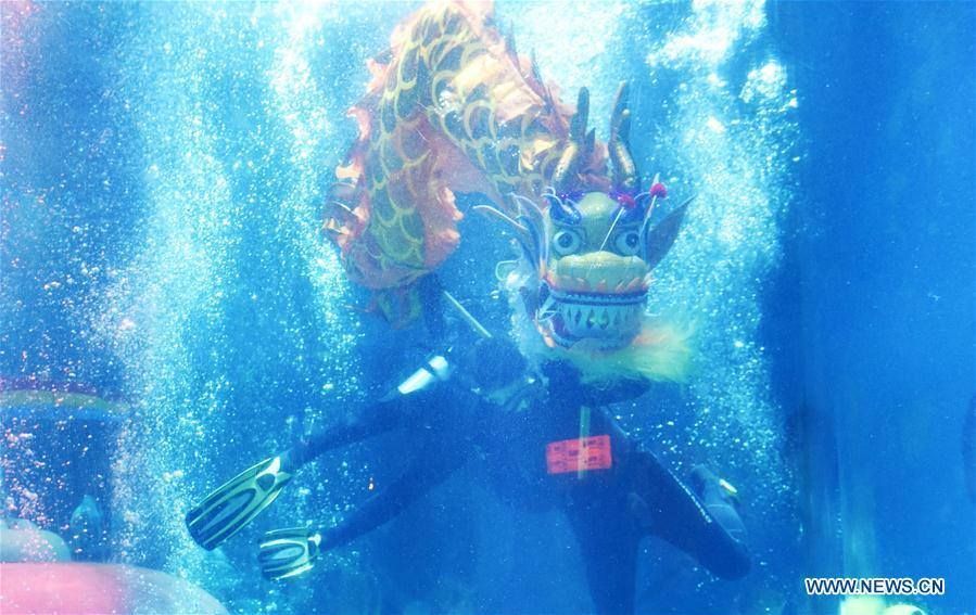 ราวกับมีชีวิต! มังกรใต้น้ำแห่งฮาร์บิน