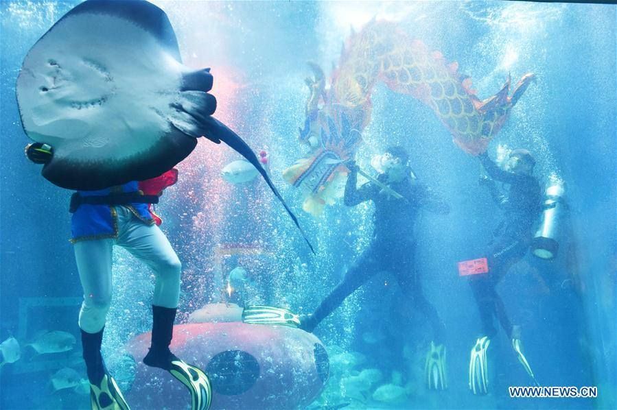 ราวกับมีชีวิต! มังกรใต้น้ำแห่งฮาร์บิน